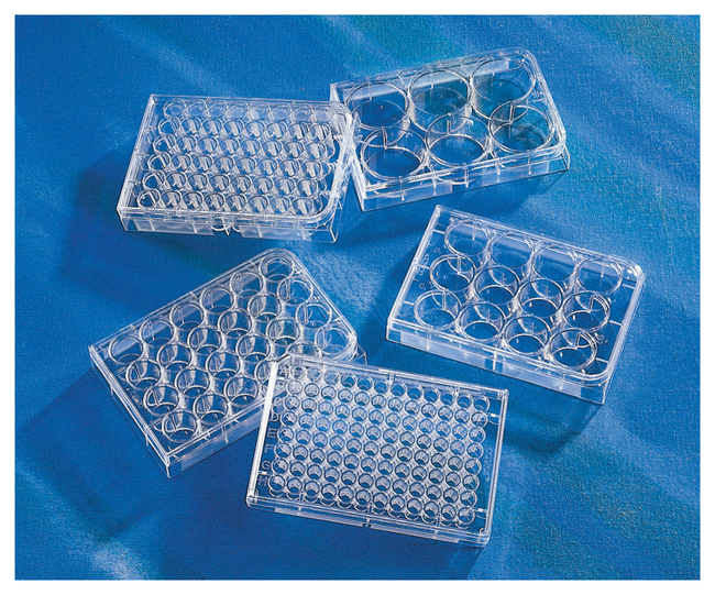 Costar™ 96-Well, Cell Culture-Treated, Flat-Bottom Microplate