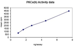 Q02156, PRKCE, MGC125656, PKCE, MGC125657, nPKC-epsilon, kinase