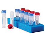 Quanti-Cult Plus&trade; Pseudomonas paraeruginosa ATCC&trade; 9027&trade;
